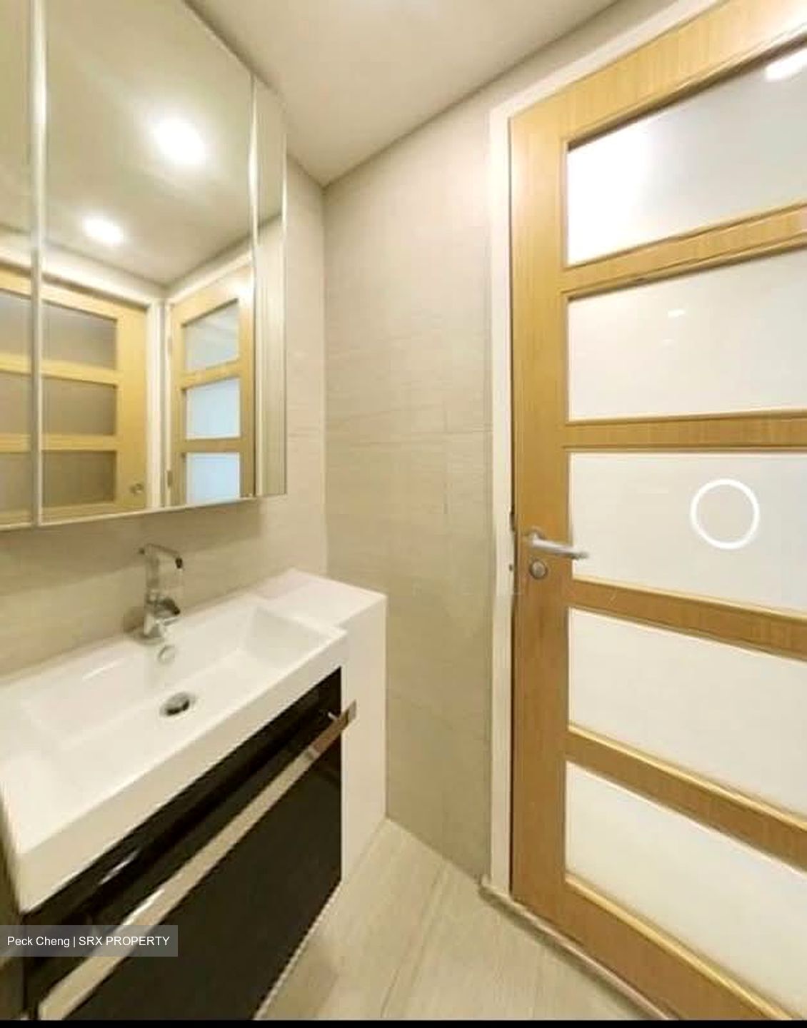 Sant Ritz (D13), Condominium #581209501
